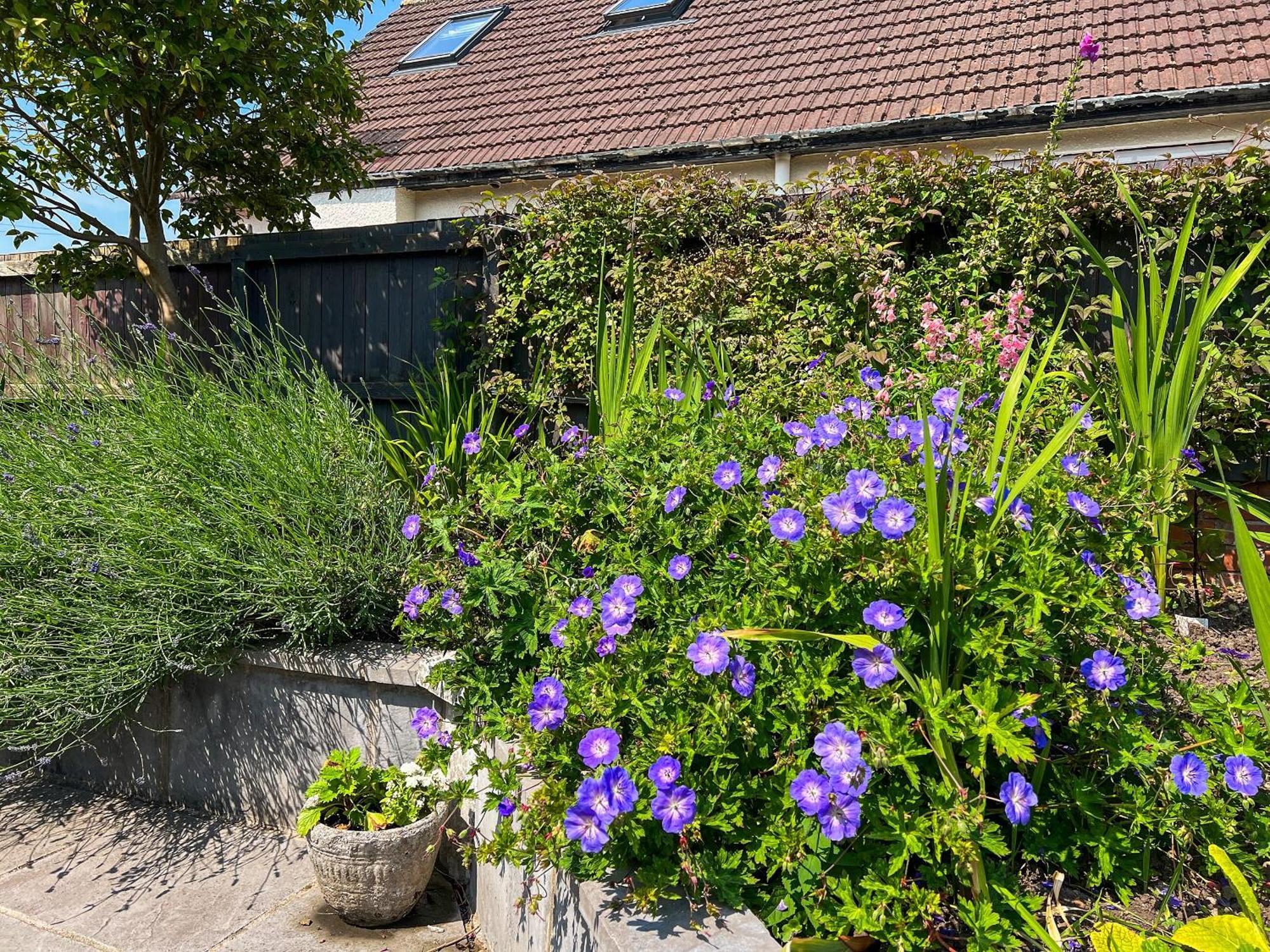 Cwtch Cottage Cardiff Zewnętrze zdjęcie